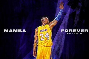 开云体育平台APP-加尔的奇迹，2026世界杯巅峰对决，印度力克塞尔维亚，努涅斯完成致命一击，门将神勇